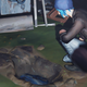 Image for article titled Life is Strange Episode 4's Ending Is A Big Surprise
